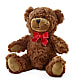 Adorable Plush Bear – King Soopers, Denver CO