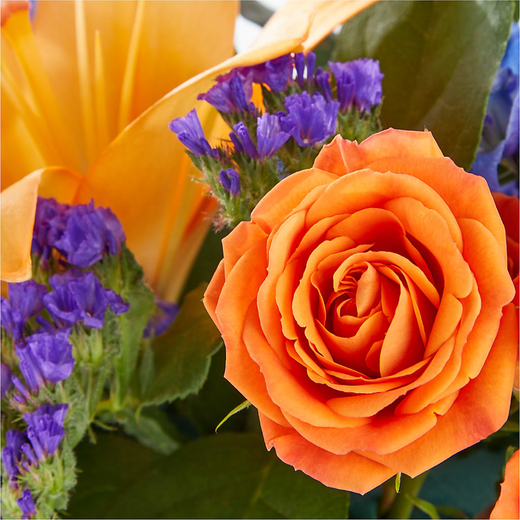 Radiant Citrus Box Bouquet – King Soopers, Denver CO