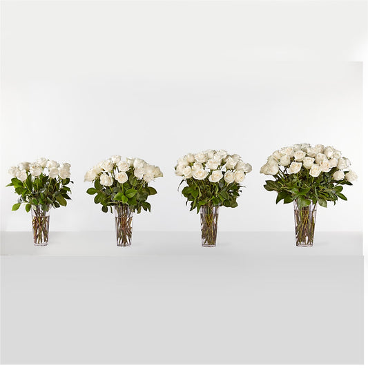 Long Stem White Rose Bouquet – King Soopers, Denver CO