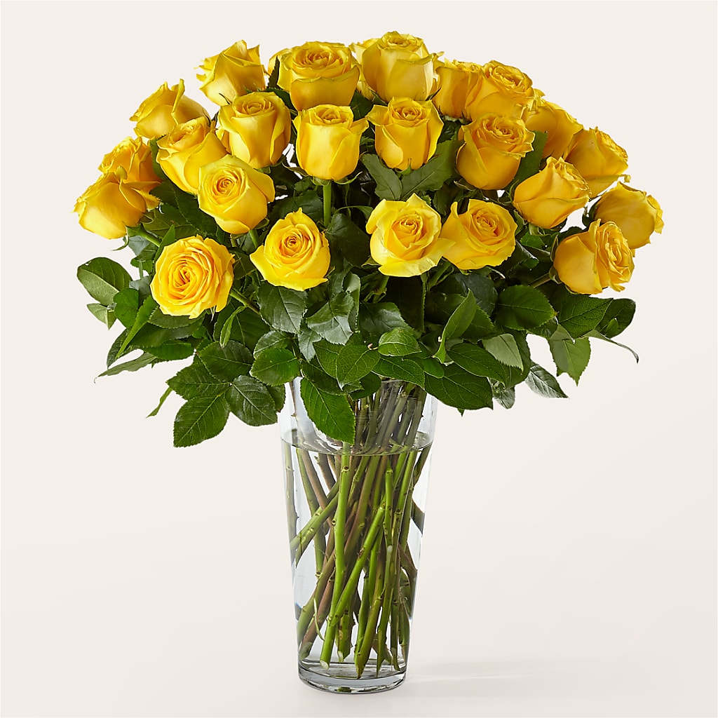 Long Stem Yellow Rose Bouquet – King Soopers, Denver CO