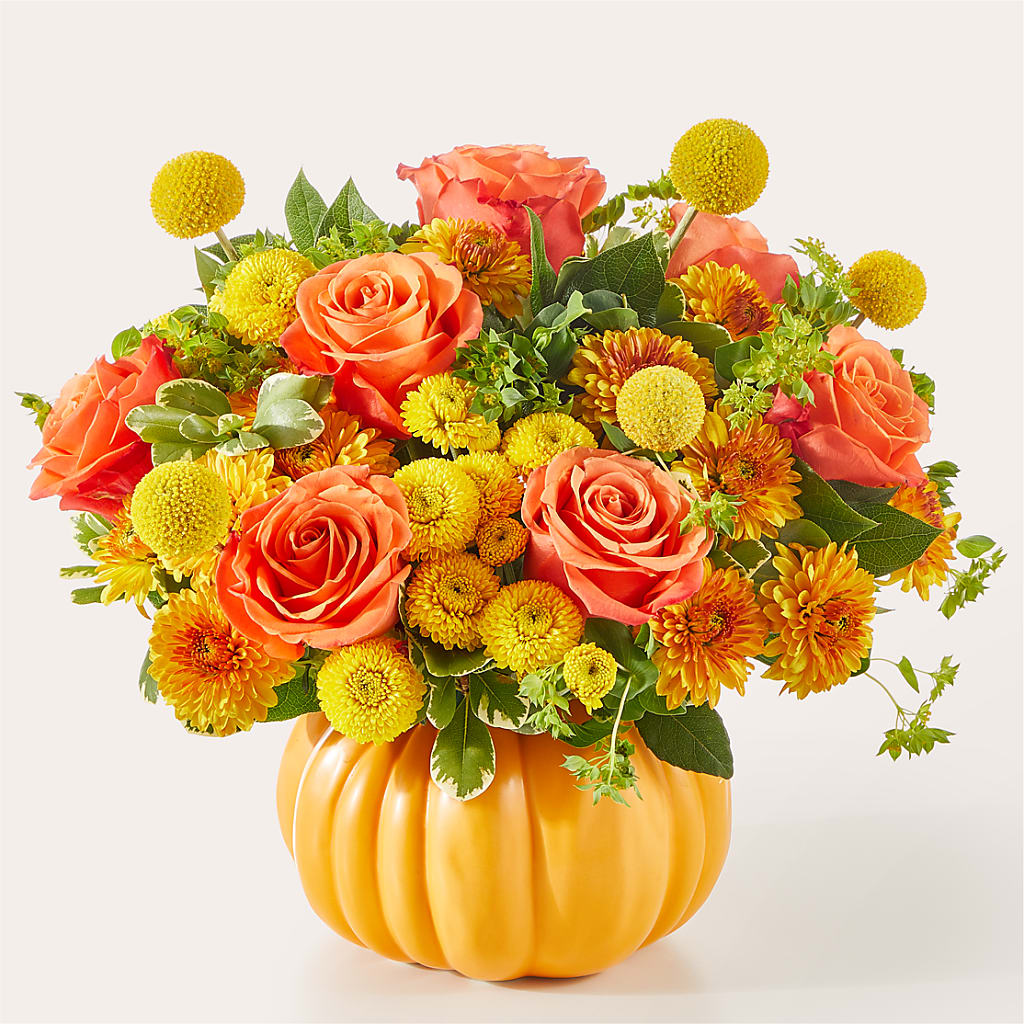 Gourdgeous Pumpkin – King Soopers, Denver CO