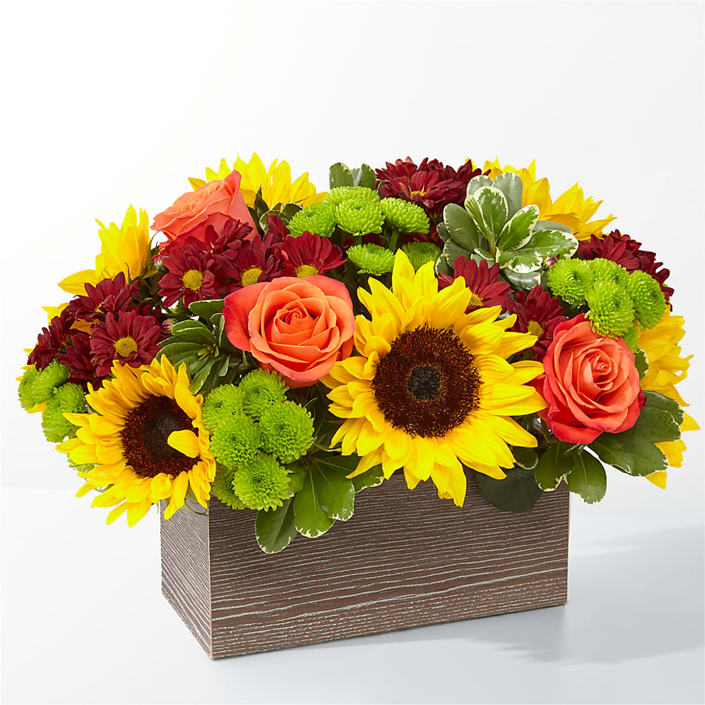 Happy Harvest Garden – King Soopers, Denver CO