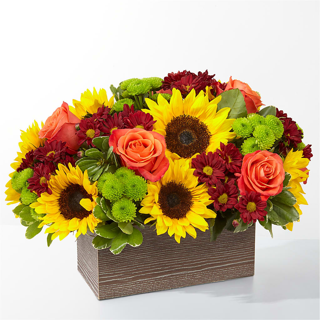 Happy Harvest Garden – King Soopers, Denver CO