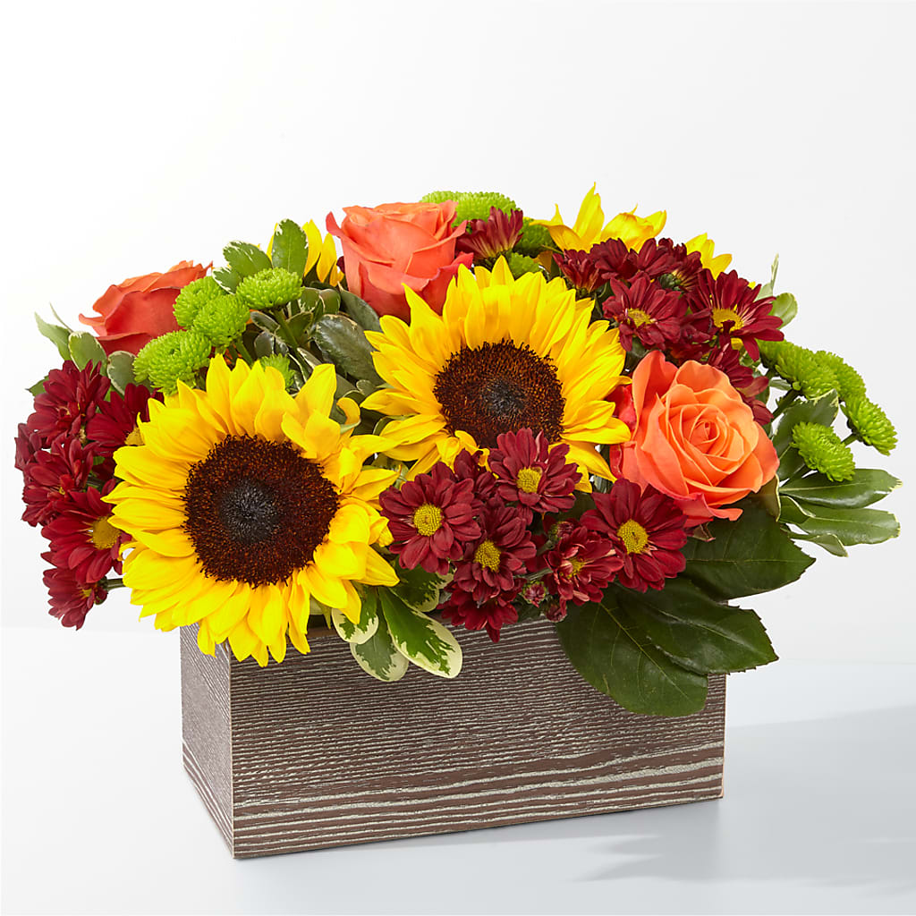 Happy Harvest Garden – King Soopers, Denver CO