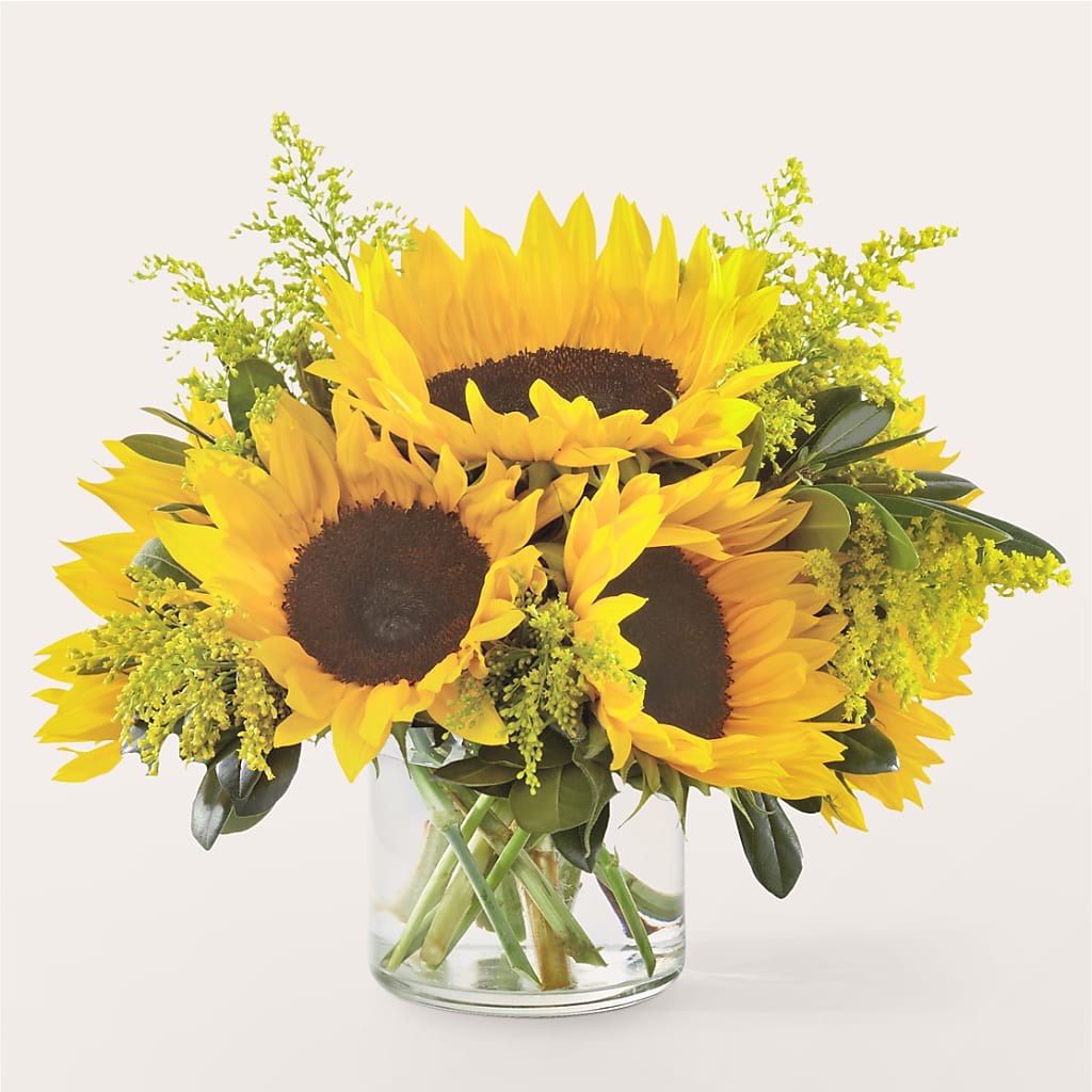 Beaming Sunflower Bouquet – King Soopers, Denver CO