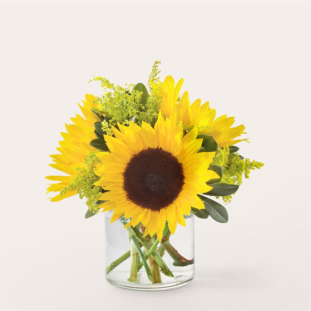 Beaming Sunflower Bouquet – King Soopers, Denver CO