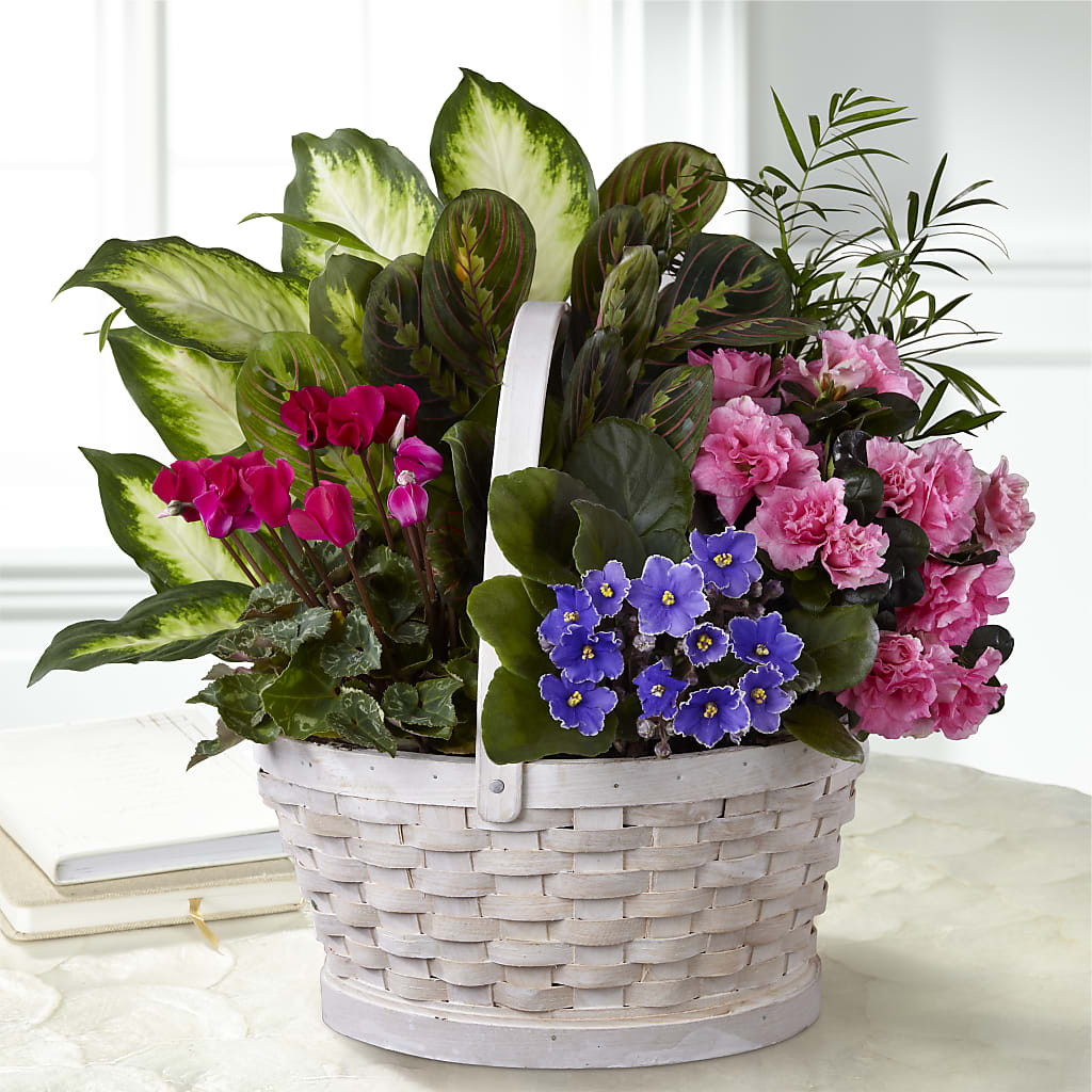Peaceful Garden Planter – King Soopers, Denver CO