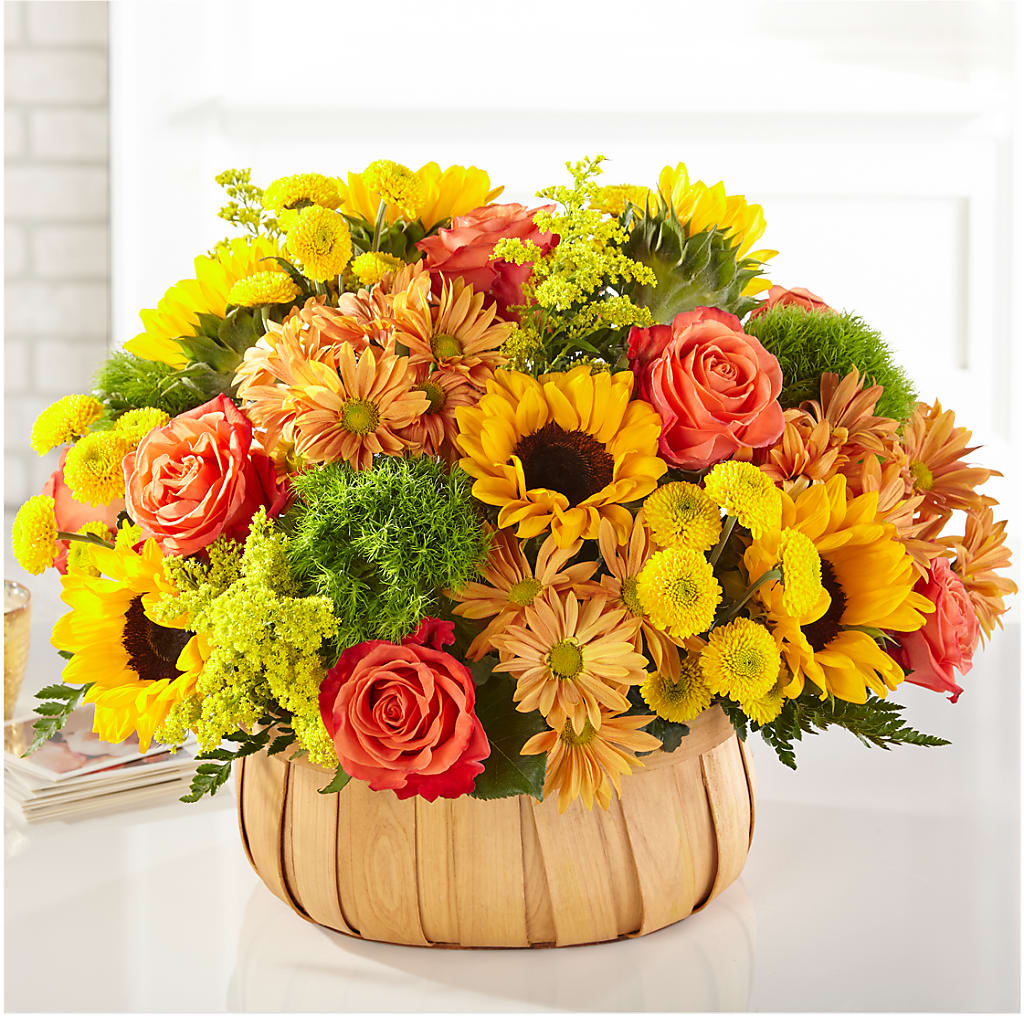 Harvest Sunflower Basket – King Soopers, Denver CO