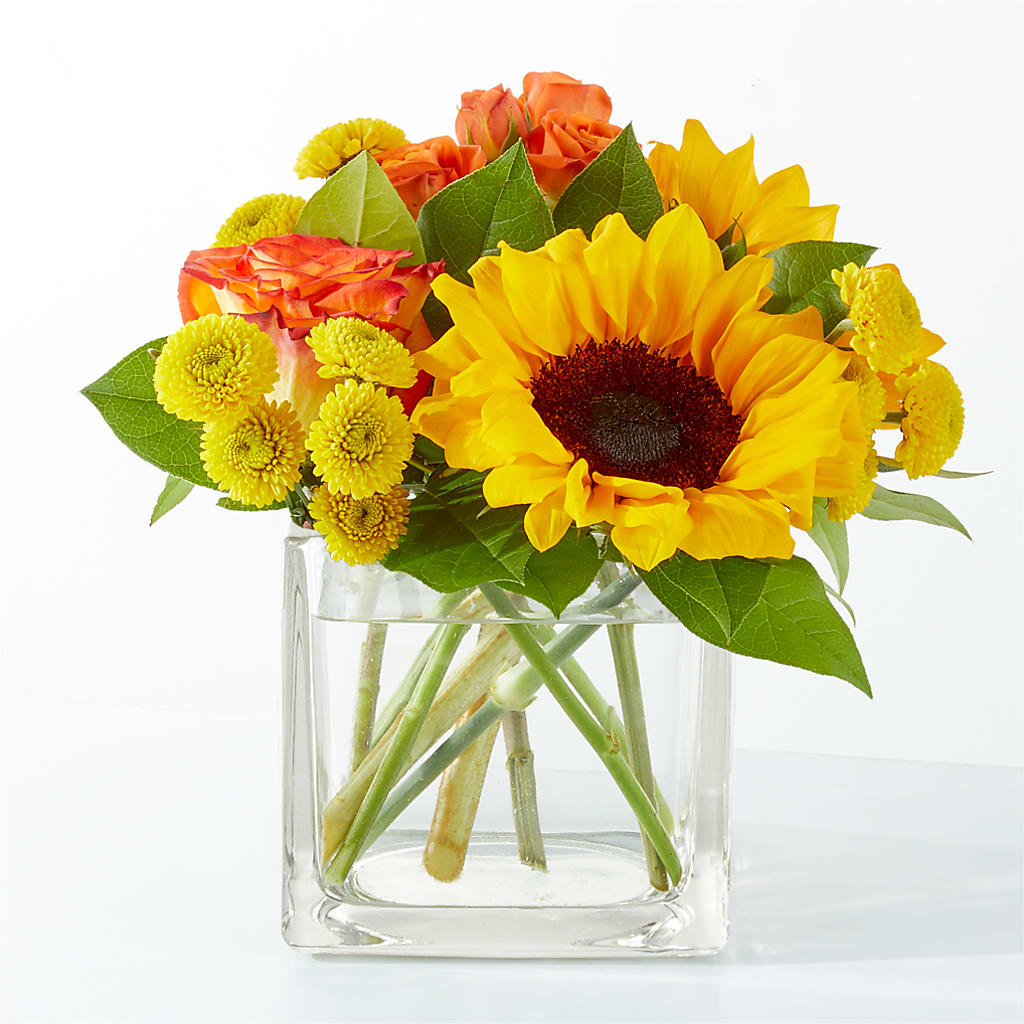 Picnic in the Park Bouquet – King Soopers, Denver CO