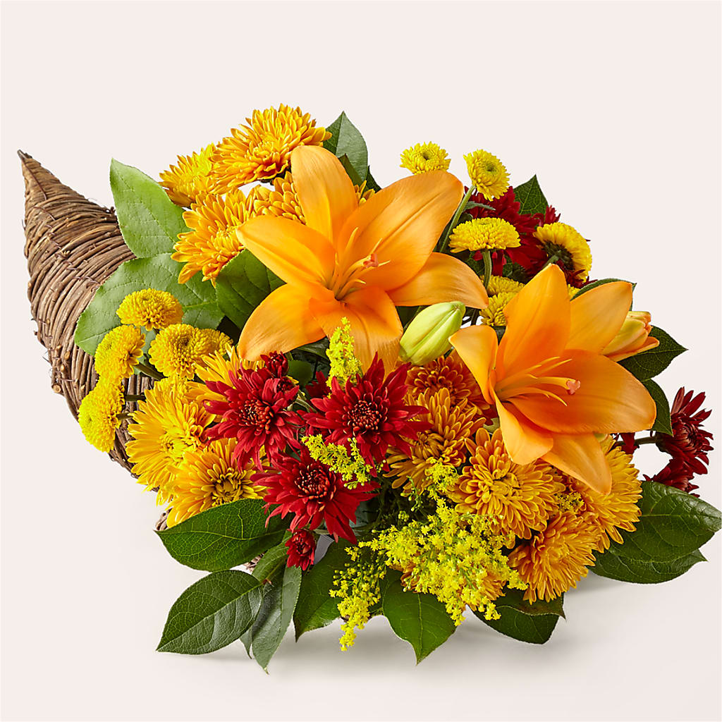 Feast of Color Cornucopia – King Soopers, Denver CO
