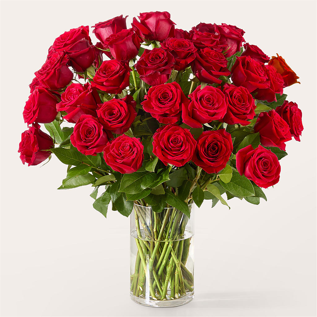 The One Red Rose Bouquet – King Soopers, Denver CO