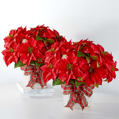 Happiest Holidays Poinsettia Bundle –  King Soopers, Denver CO