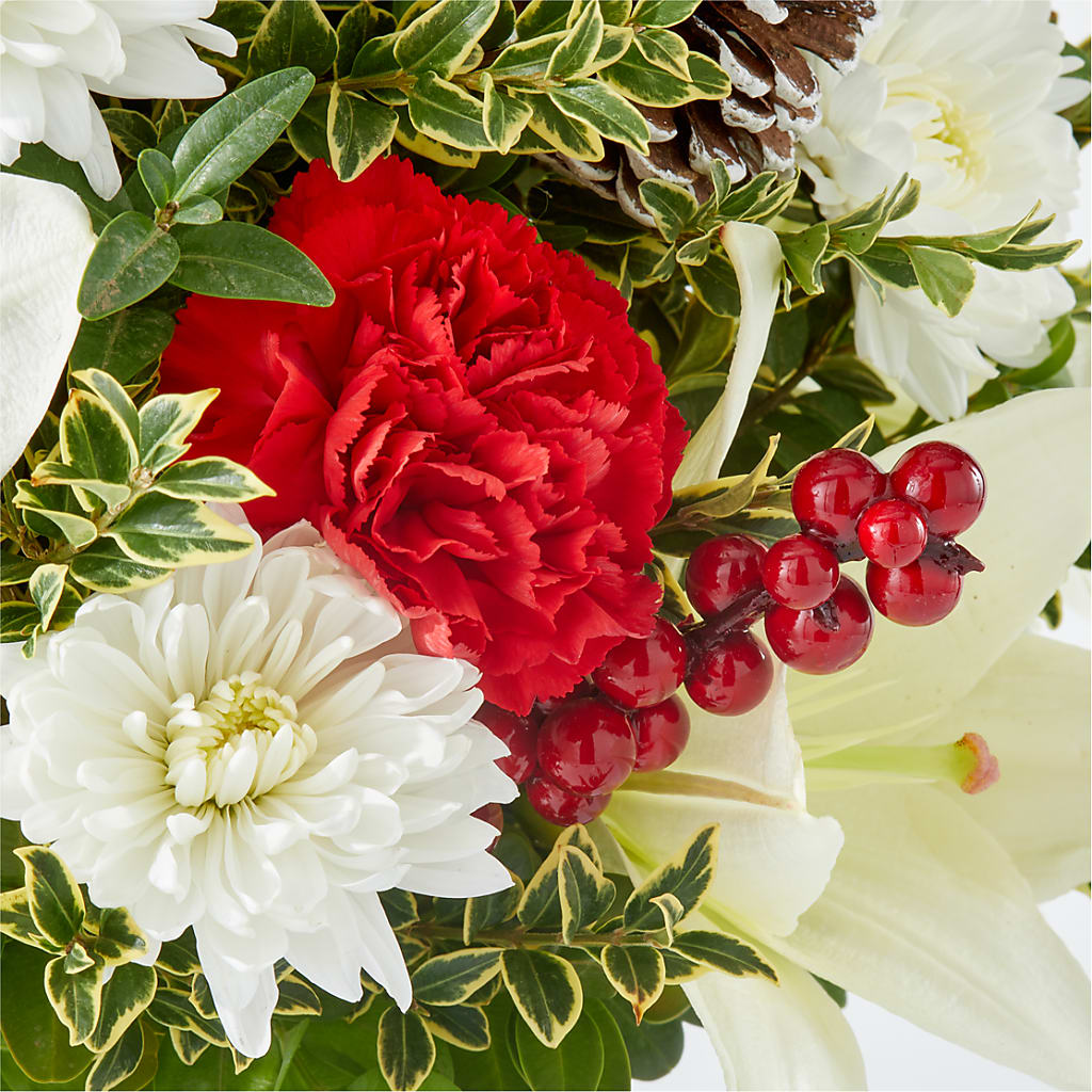 Festive Moments Tree –  King Soopers, Denver CO
