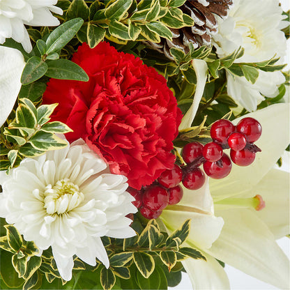 Festive Moments Tree –  King Soopers, Denver CO