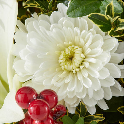 Festive Moments Tree –  King Soopers, Denver CO