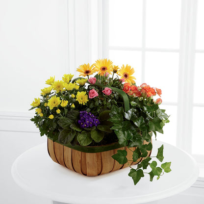 Gentle Blossoms Basket –  King Soopers, Denver CO