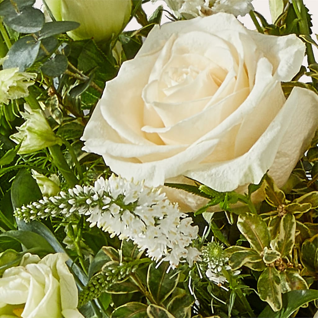Cashmere Bouquet –  King Soopers, Denver CO