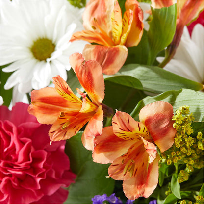 Oopsie Daisy Box Bouquet –  King Soopers, Denver CO