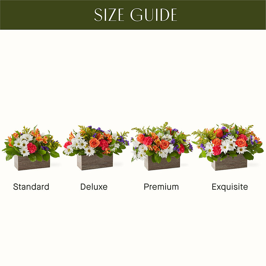 Oopsie Daisy Box Bouquet –  King Soopers, Denver CO
