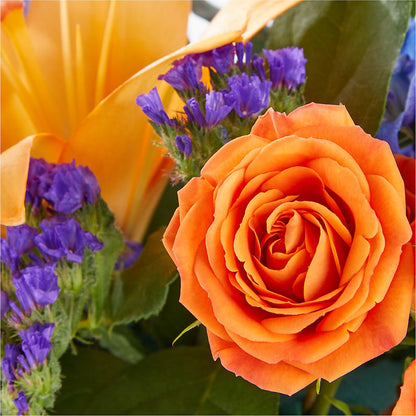 Radiant Citrus Box Bouquet –  King Soopers, Denver CO