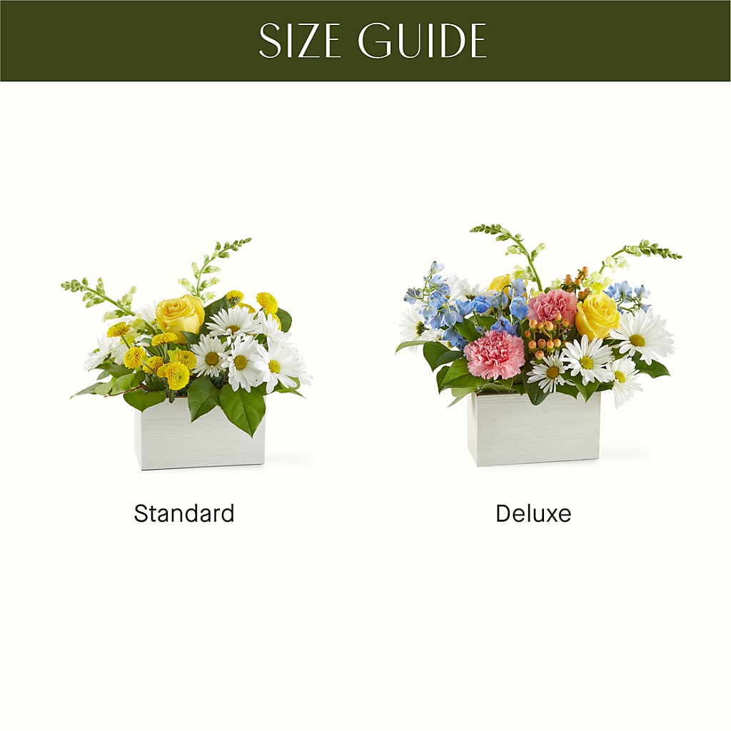 Sun Salutation Box Bouquet –  King Soopers, Denver CO