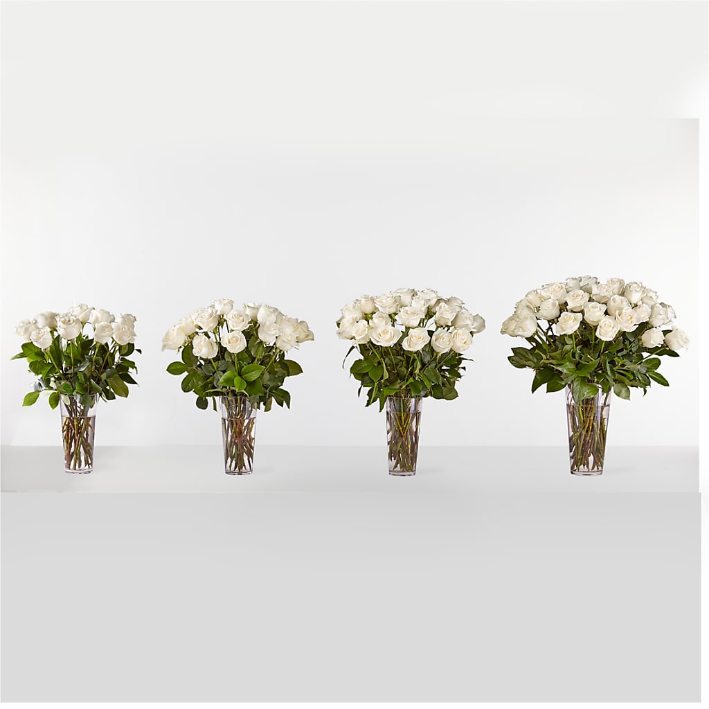Long Stem White Rose Bouquet –  King Soopers, Denver CO