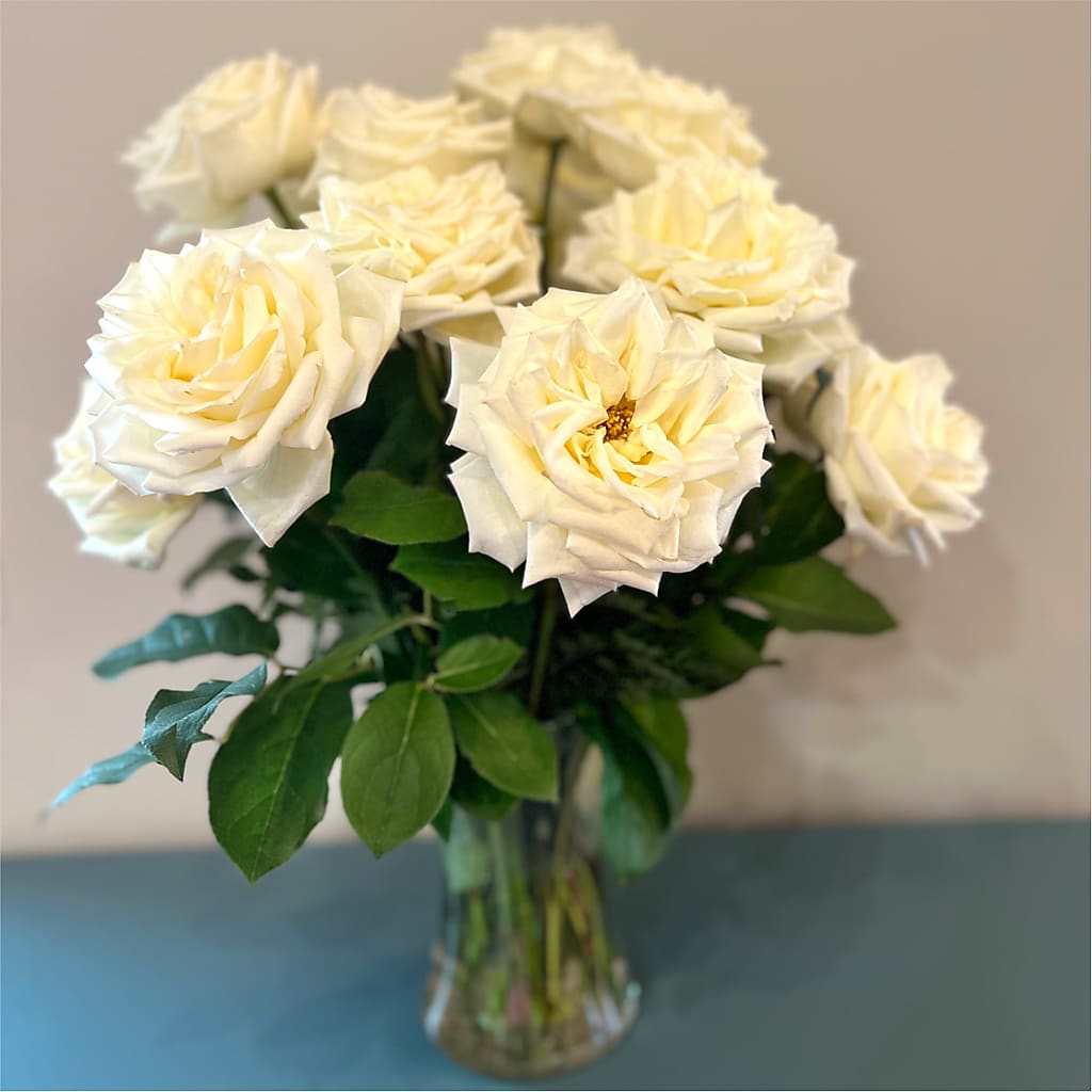 Long Stem Yellow Rose Bouquet –  King Soopers, Denver CO