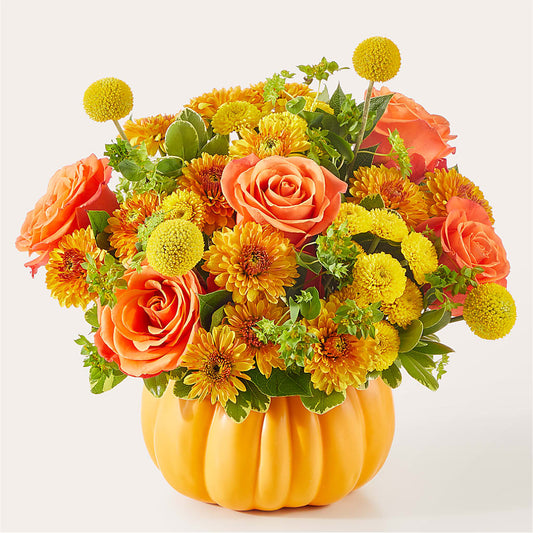 Gourdgeous Pumpkin –  King Soopers, Denver CO