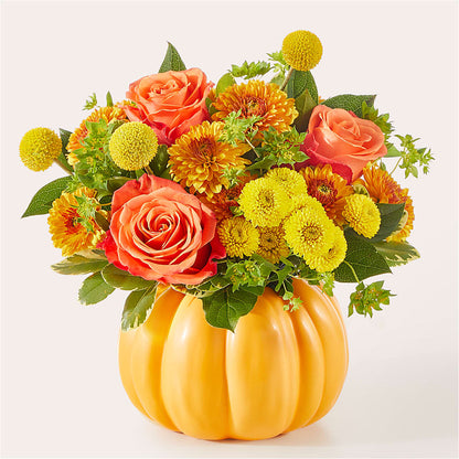 Gourdgeous Pumpkin –  King Soopers, Denver CO