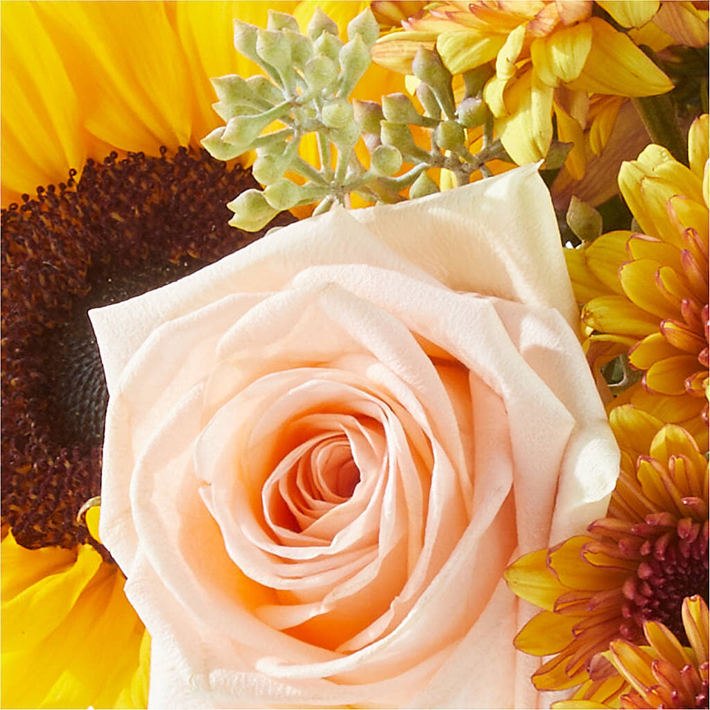 Pumpkin to Talk About Bouquet –  King Soopers, Denver CO