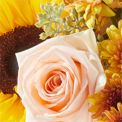 Pumpkin to Talk About Bouquet –  King Soopers, Denver CO