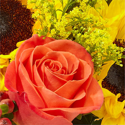 Pick of the Patch Pumpkin Bouquet –  King Soopers, Denver CO