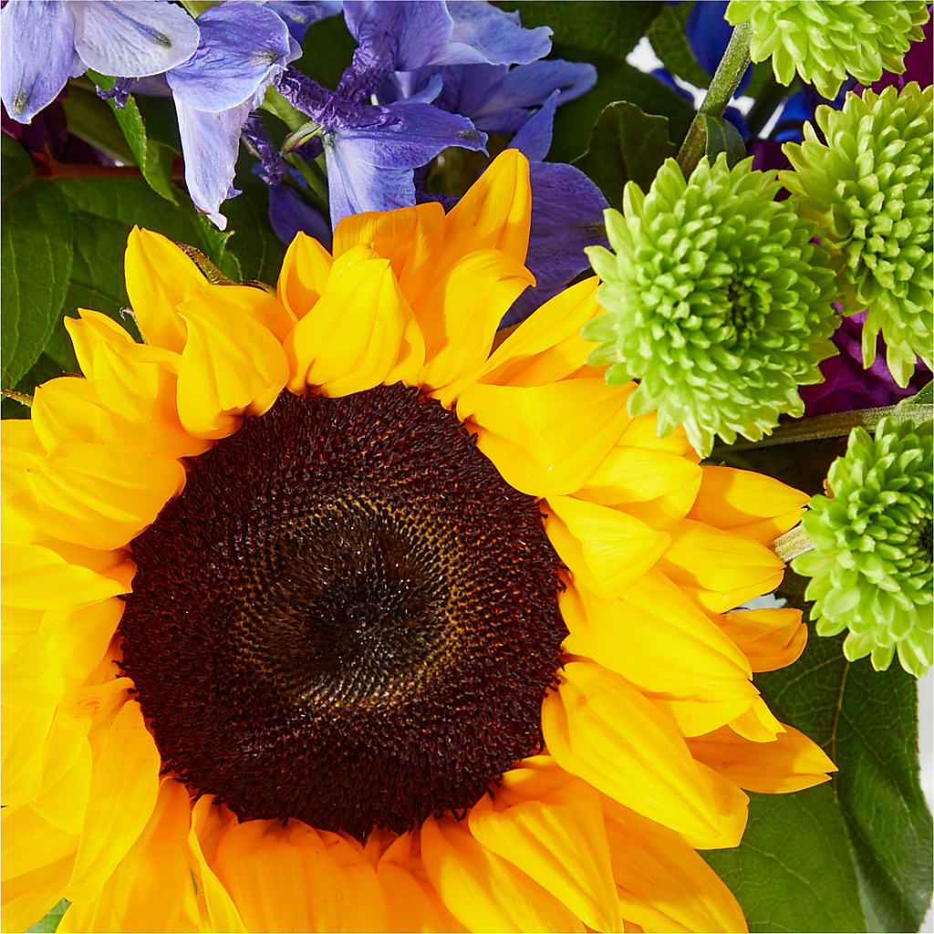Catching Rays Bouquet –  King Soopers, Denver CO