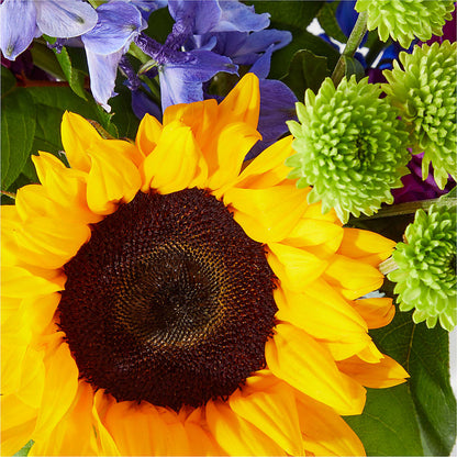Catching Rays Bouquet –  King Soopers, Denver CO