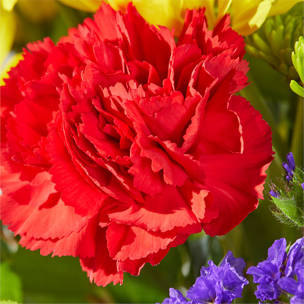 Brighter Days Bouquet –  King Soopers, Denver CO