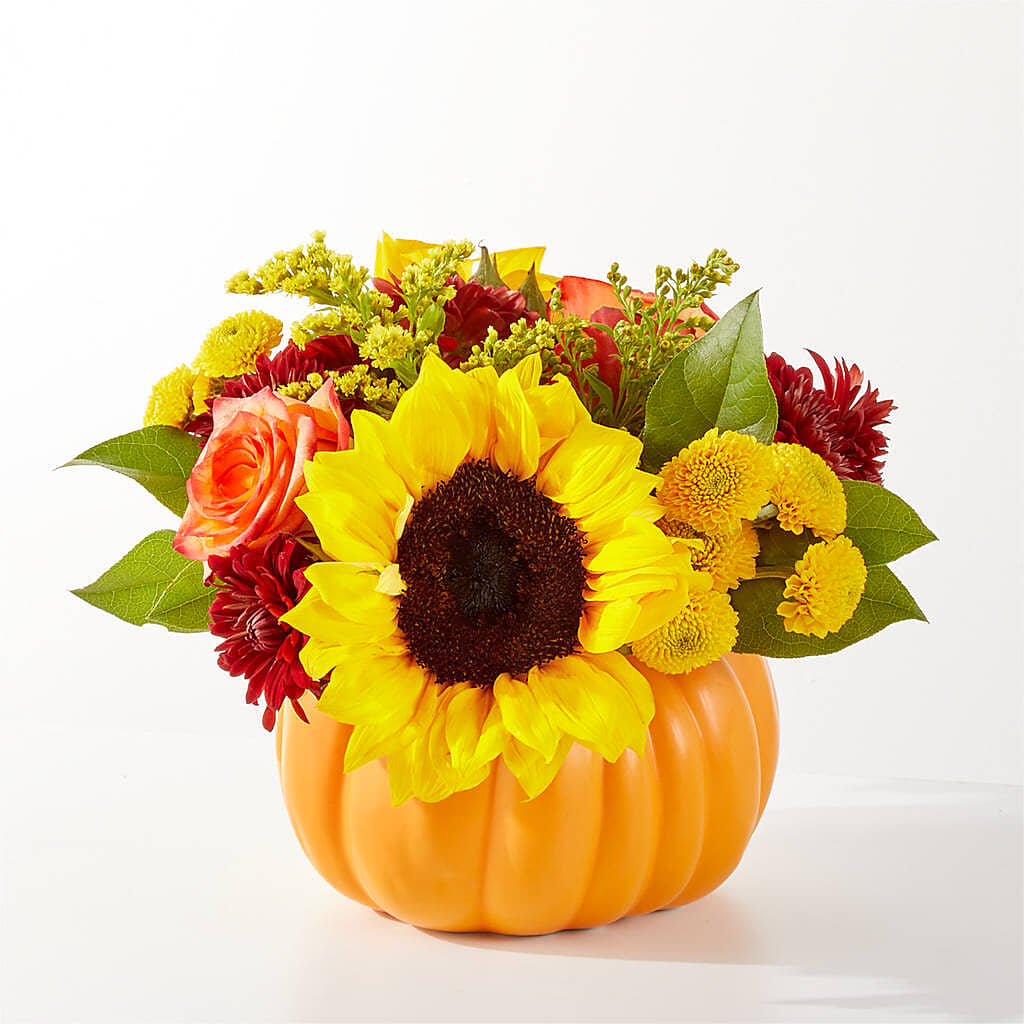 Golden Gourd Pumpkin Bouquet –  King Soopers, Denver CO