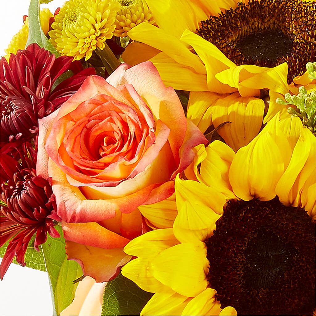 Golden Gourd Pumpkin Bouquet –  King Soopers, Denver CO