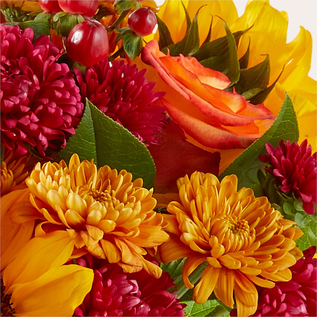 Sweater Season - A Florist Original –  King Soopers, Denver CO
