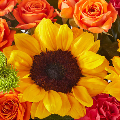 Sun-drenched Blooms Box Bouquet –  King Soopers, Denver CO