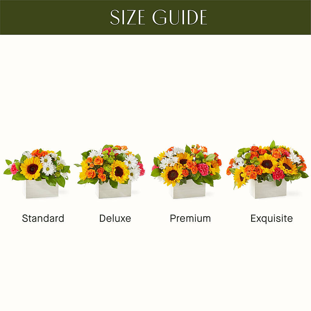 Sun-drenched Blooms Box Bouquet –  King Soopers, Denver CO