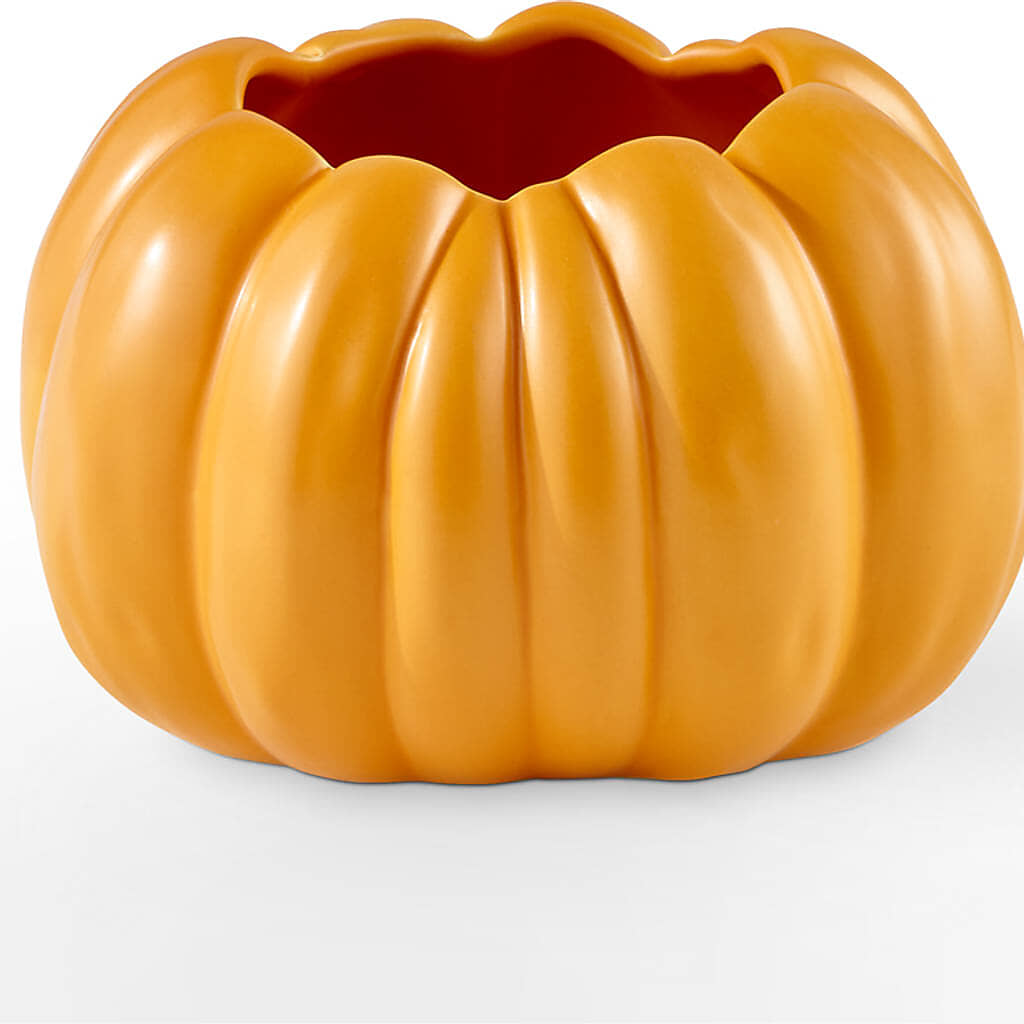 Pick of the Patch Pumpkin Bouquet –  King Soopers, Denver CO
