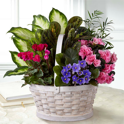 Peaceful Garden Planter –  King Soopers, Denver CO