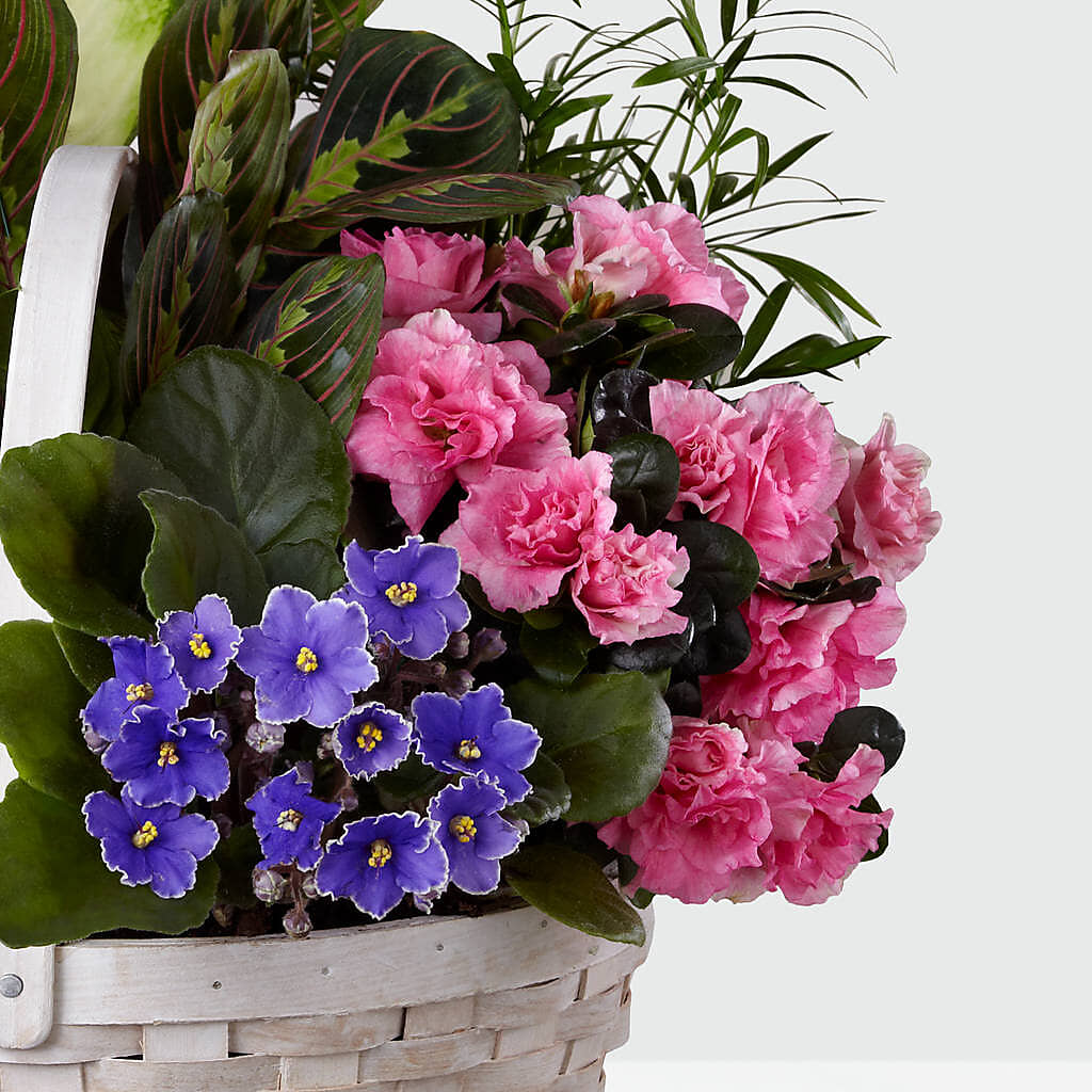 Peaceful Garden Planter –  King Soopers, Denver CO