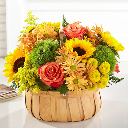 Harvest Sunflower Basket –  King Soopers, Denver CO