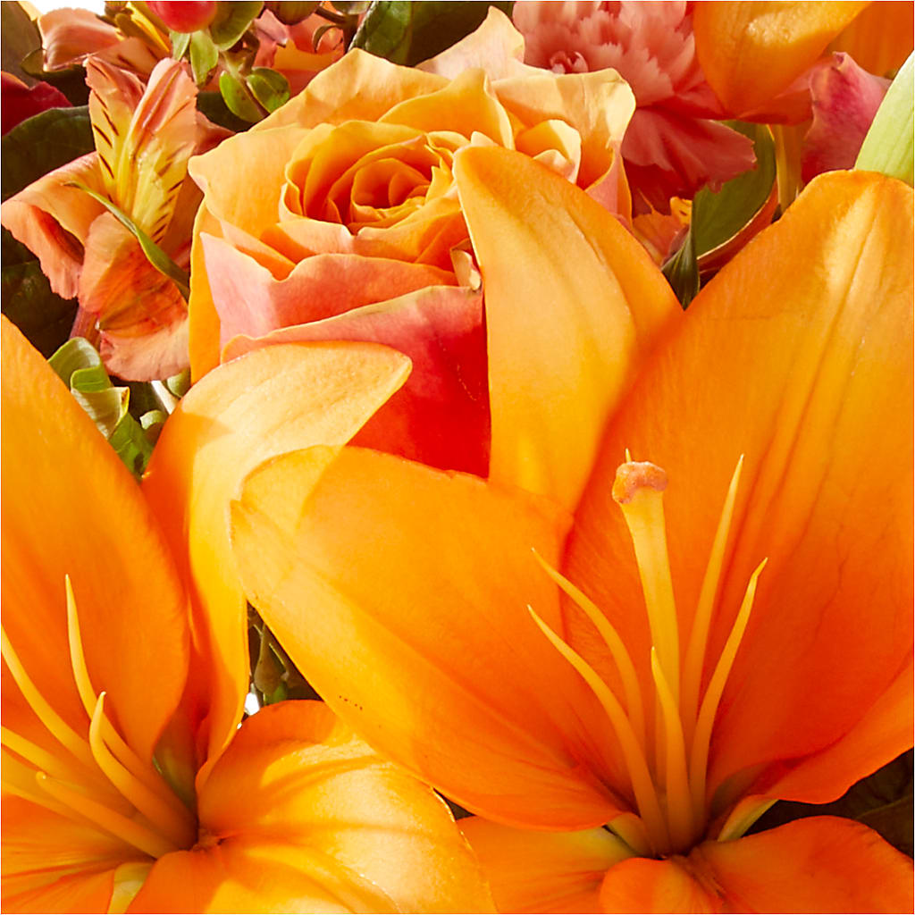 Afternoon Light Bouquet –  King Soopers, Denver CO