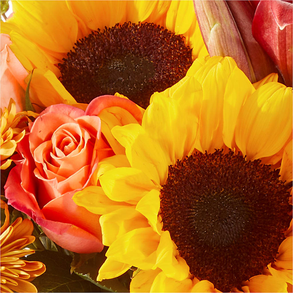 Acorn Lane Bouquet –  King Soopers, Denver CO