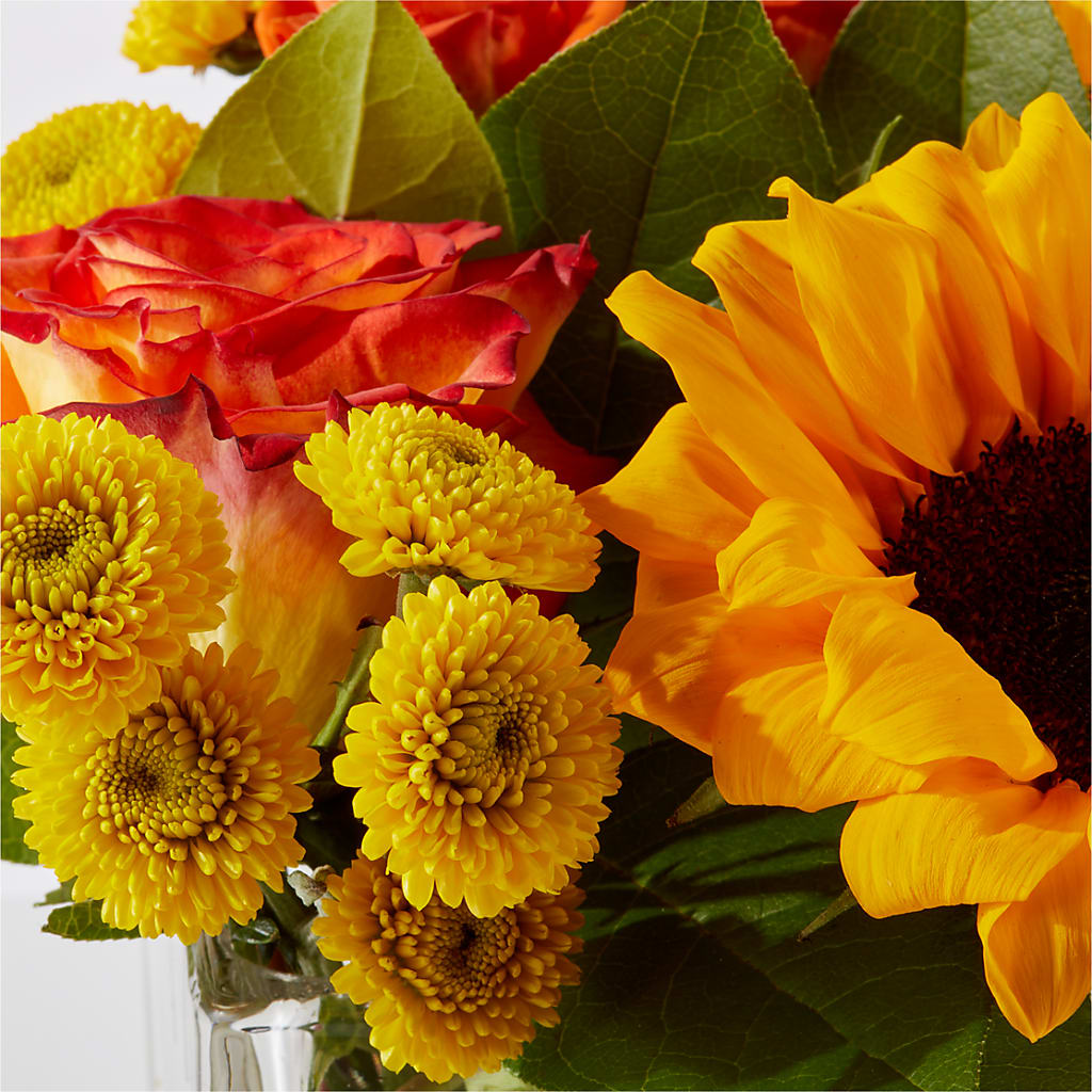 Picnic in the Park Bouquet –  King Soopers, Denver CO