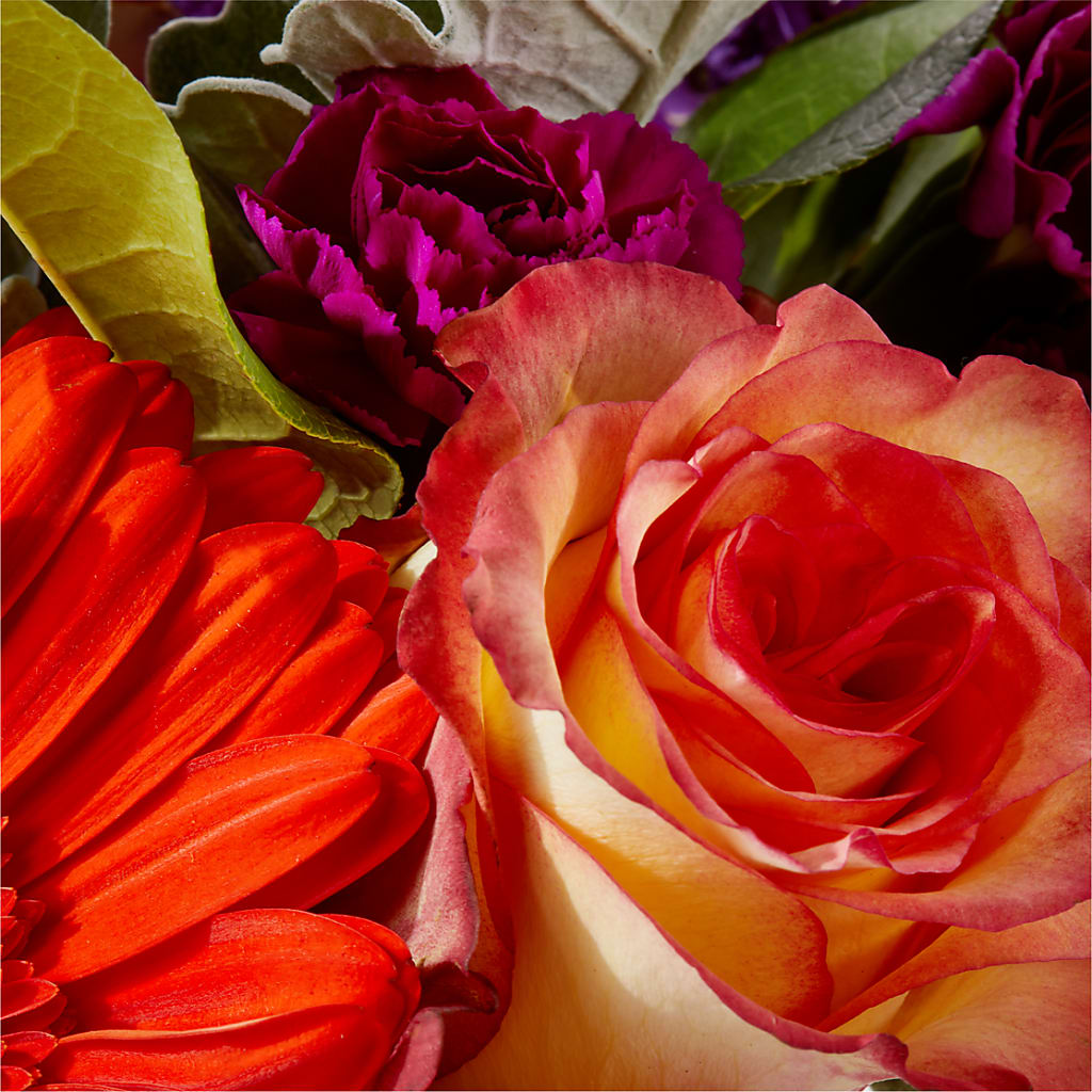 Sangria Bouquet –  King Soopers, Denver CO