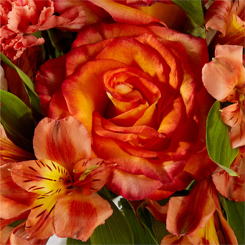 Apricot Glow Bouquet –  King Soopers, Denver CO