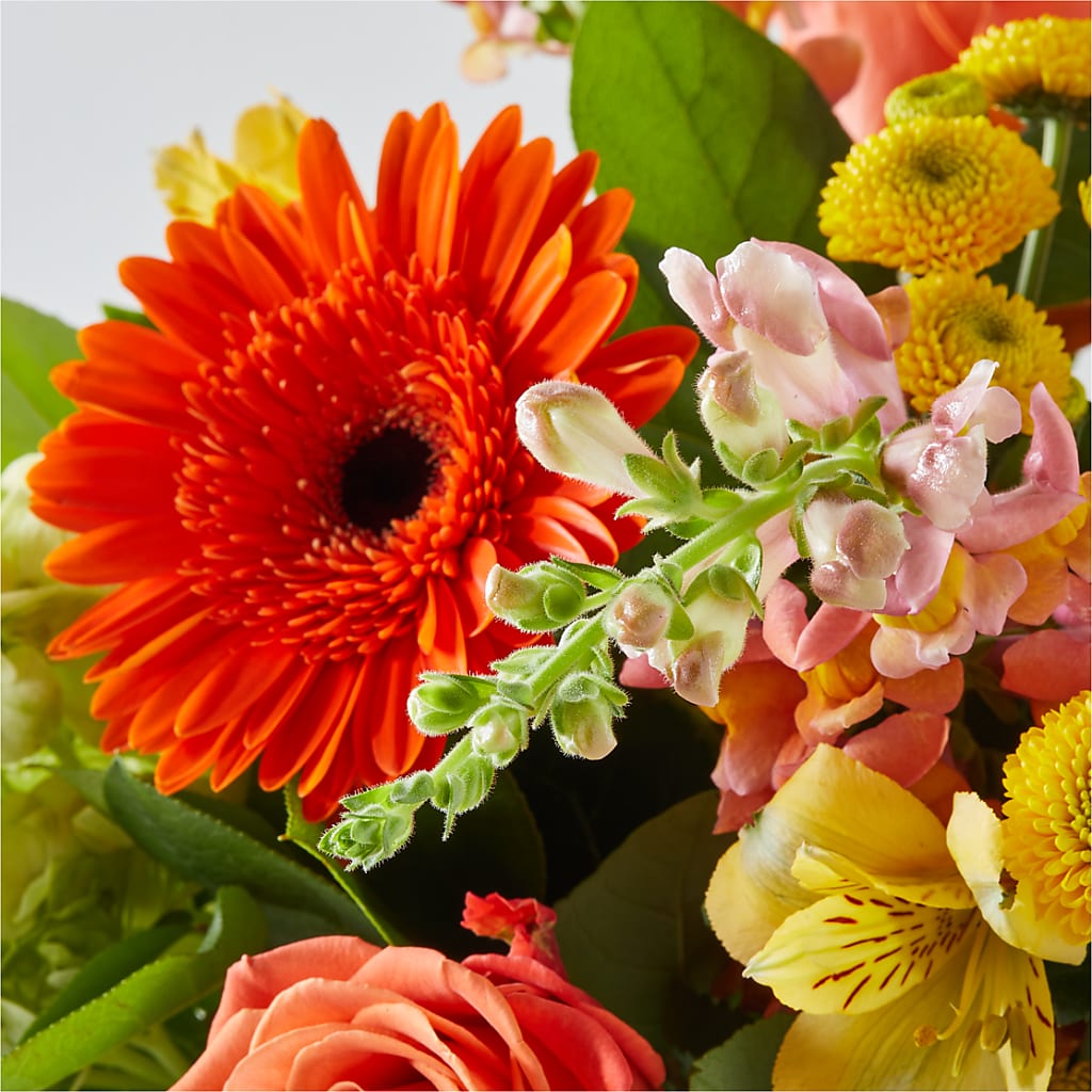 Autumn Sunshine Bouquet –  King Soopers, Denver CO